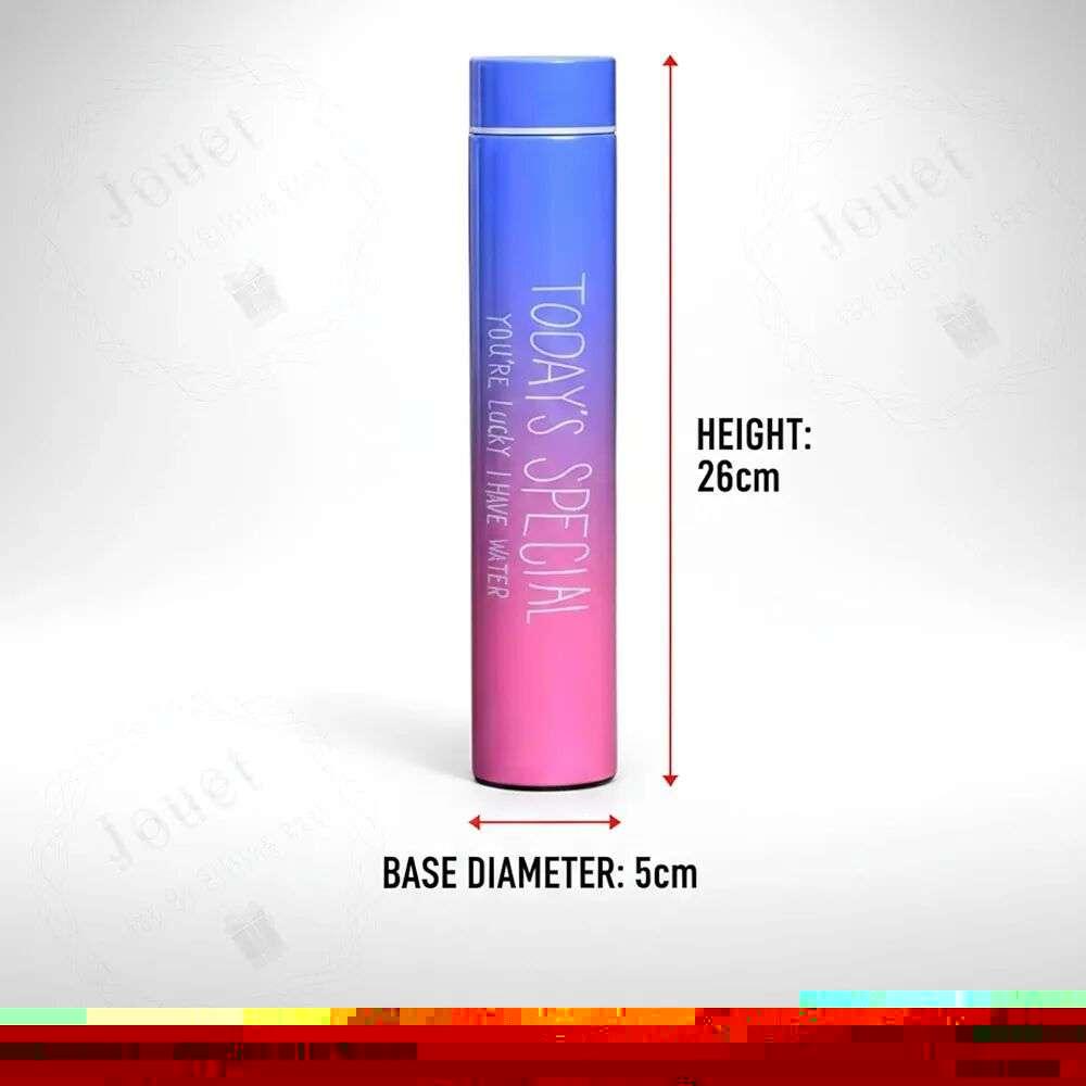 Stainless Steel Water Bottle 310ml
